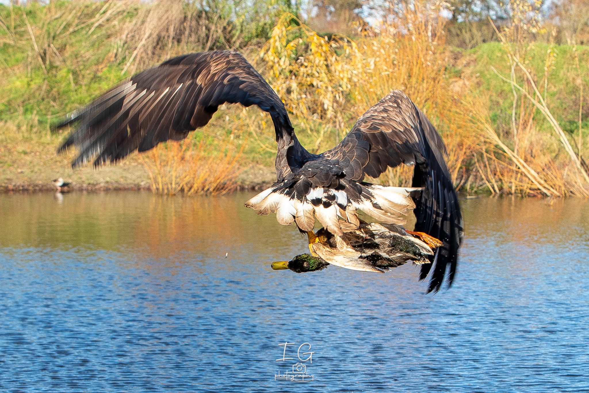 1DX44275 21 november 2021 1417 33